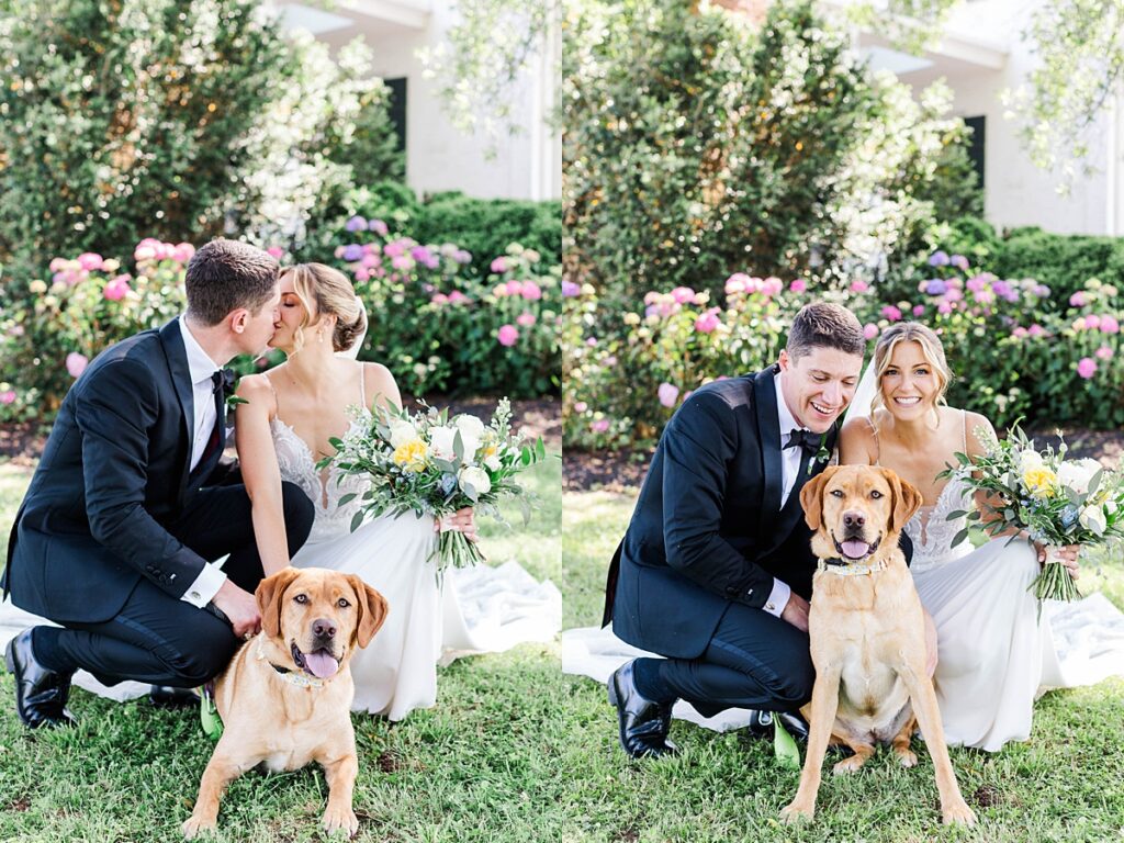 Hollyfield Manor Wedding Photographer dog
 