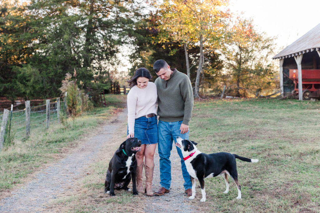 Richmond Fall family farm engagement photos