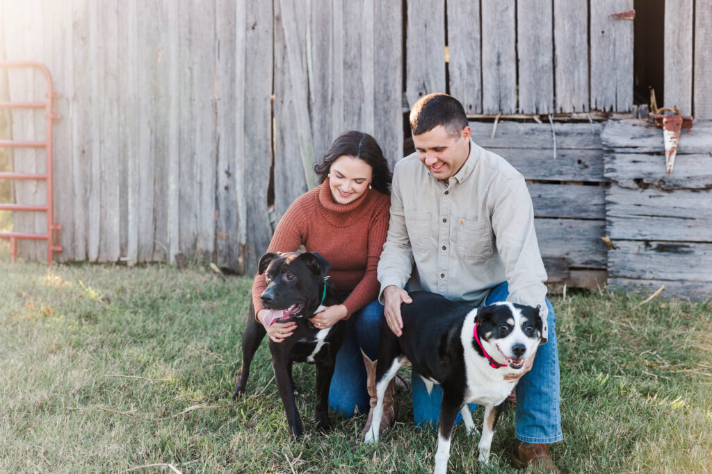 Richmond Fall family farm engagement photos